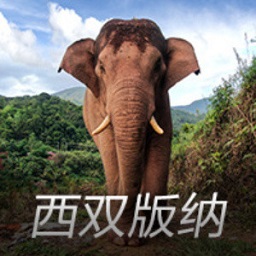 勒沃库森辟谣拜仁与维尔茨达成协议传闻：假新闻，第1000次了